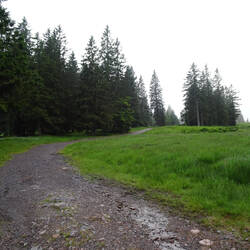 Weg zum Herzogenhorn