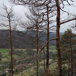 Blick ins Leutratal
