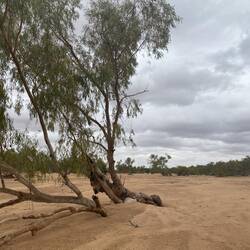 Gascoyne River. Soon to be 400m wide.