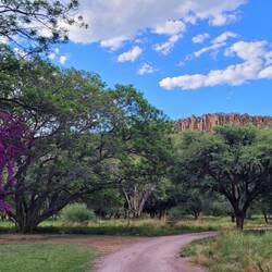 Im Hintergrund der Waterberg