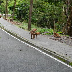 Jup...es ist wonach es aussieht.