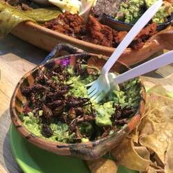 Heuschrecken-Guacamole 🥑