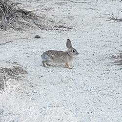 First wildlife sighting
