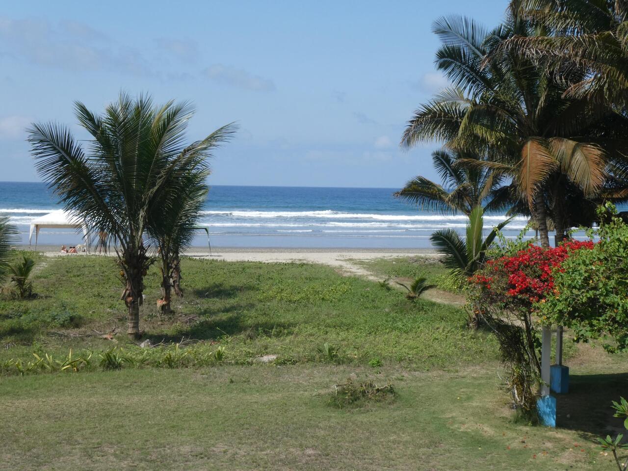 Blick vom Balkon, am einzigen sonnigen Tag 😜