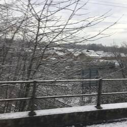 From the train window