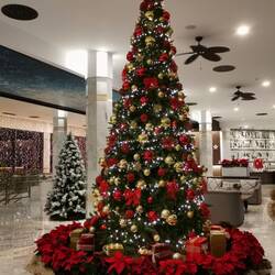 Of course, there is a Christmas tree in the hotel!