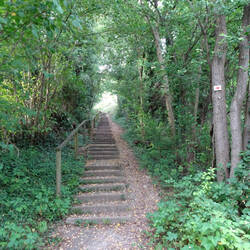 Aufstieg zur Ottilienkirche