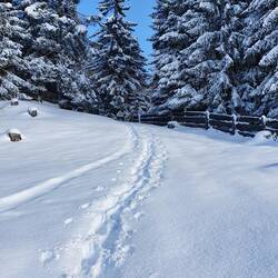 Ich ziehe meine Spuren🦶🦶🏂❄❄