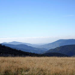 Blick nach Todtnauberg