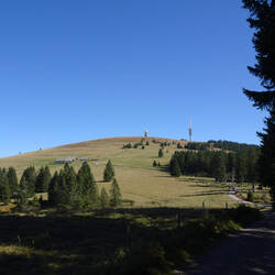 Blick hinauf zum Feldberg-Gipfel