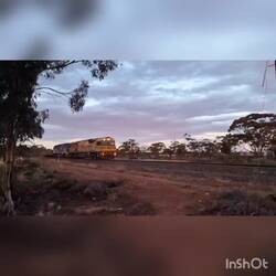 Frisch aus den Minen...