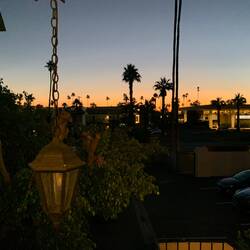 Early risers