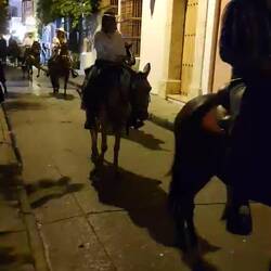 Nationalfeiertag und alle reiten super besoffen auf viel zu erschöpften Pferden durch die Stadt.