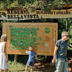 Naturschutzprojekt eines Teeunternehmens