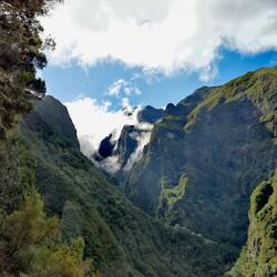 The jungle of Madeira!
