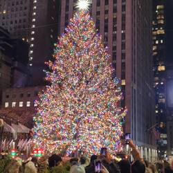 Rockerfeller Tree ......