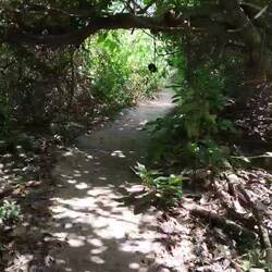 Eingang zum Paradies