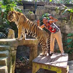 Wonderful day with the Tigers