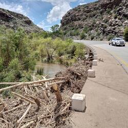 There are quite big tree trunks washed up on the side of the road.