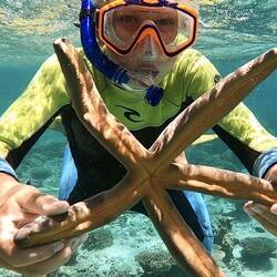 Big orange starfish Brax found