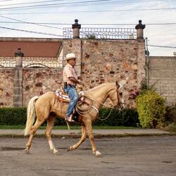 Don't drink and ride 🐴