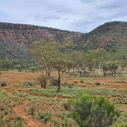 View from the bottom