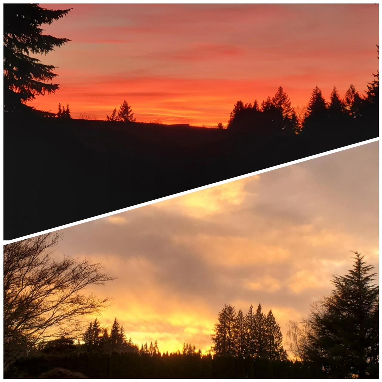 Boring sunsets