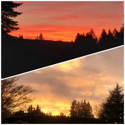 Boring sunsets