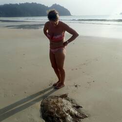 Monster from the deep - looking at a jellyfish