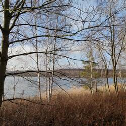 Holzweißiger Ostsee