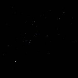 The stars are amazing!