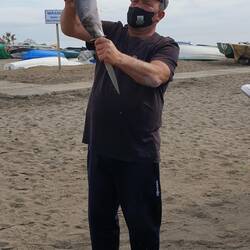 Vorher wurde er noch entschuppt 🐟.