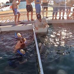 In the shark viewing cage