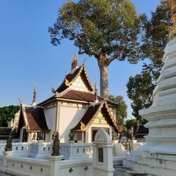Zum Abschluss noch einmal der Viharn Luang in der Abendsonne