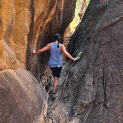 Awesome crevice along the trail