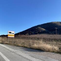 Unterwegs gibts immer wieder solche Schilder - anscheinend sind Bären keine Seltenheit hier🐻