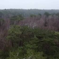 Hier endet nur das Video!