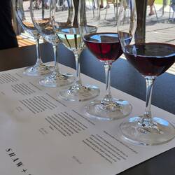 Shaw & Smith Vineyard