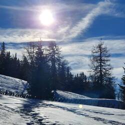 🌞🤩❄❄☀️