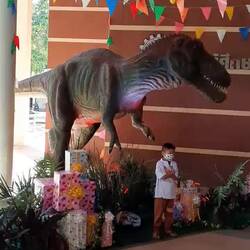 Auch dieser Dino hat offenbar Weihnachtsgeschenke erhalten