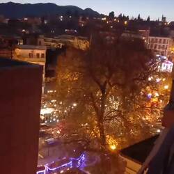 Dieses Gezwitscher verfolgt uns die ganze Nacht. 😂🐥