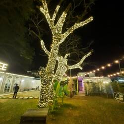 Das Restaurant nebenan nennt sich "The Tree"