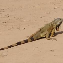 The one in the bedroom was a smaller verson of this one that we saw later.