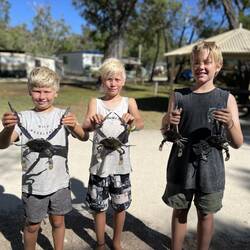 First lot of crabs
