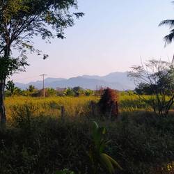 The farmers's fields
