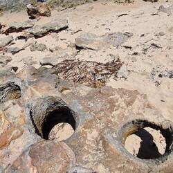 Holes in the rocks from where trees used to stand