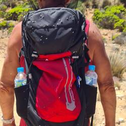 This is why we need fly nets