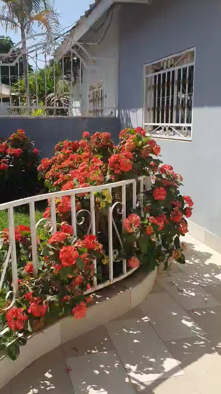 Liebgewonnene Quarantäne