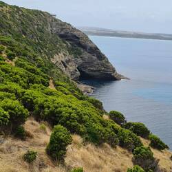 Awesome cave and Australian fur seals