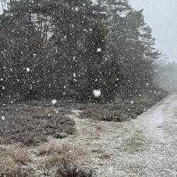 So macht Schnee Spaß!